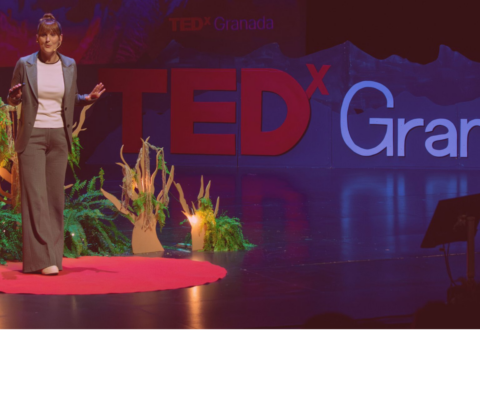¿Tienes una idea capaz de transformar el mundo? Entonces, TÚ podrías ser el próximo ponente TEDx